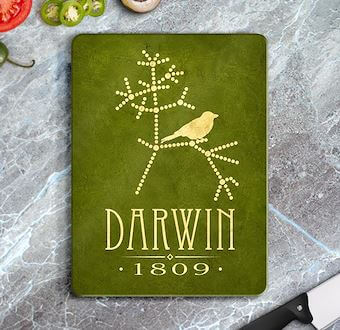 Charles Darwin - Evrim Bilimi Cam Kesim Tablası