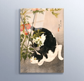 Black Cat and Tomato Plant Cam Tablosu