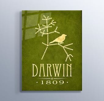 Charles Darwin - Evrim Bilimi Cam Tablosu