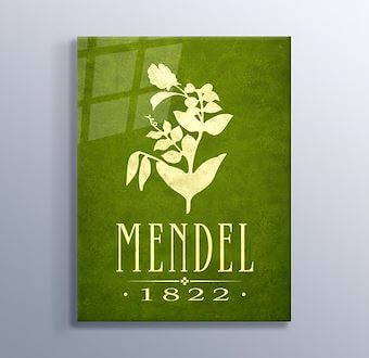 Gregor Mendel - Genetik Biliminin Temelleri Cam Tablosu
