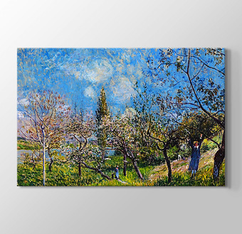 Orchard In Spring