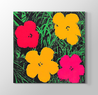 Flowers - Renkli Çiçekler