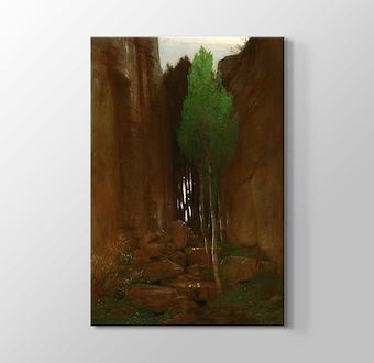 Spring in a Narrow Gorge - Quell in einer Felsschlucht