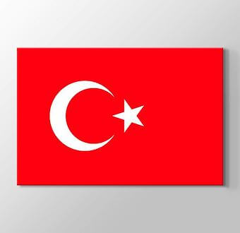 Ay Yıldızlı Kırmızı Türk Bayrağı 