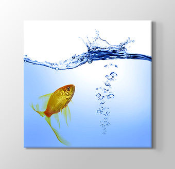 Gold Fish in Sea