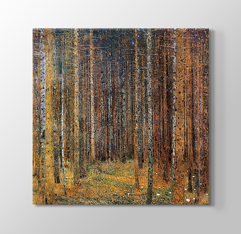 Tannenwald - Çam Ormanı