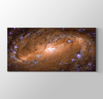 Hubble Spots Stunning Spiral Galaxy