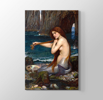 A Mermaid - Bir Deniz Kızı