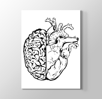 Kalp ve Beyin Birleşimi Çizimi