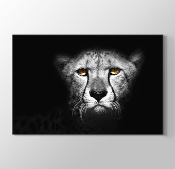Karanlıktaki Sarı Gözlü Leopar