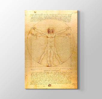 The Vitruvian Man 1498 - Vitruvius Adamı