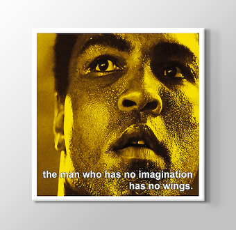 Muhammad Ali - Imagination
