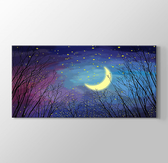 Panaromik Gece Gökyüzü - Yıldızlar ve Ay 