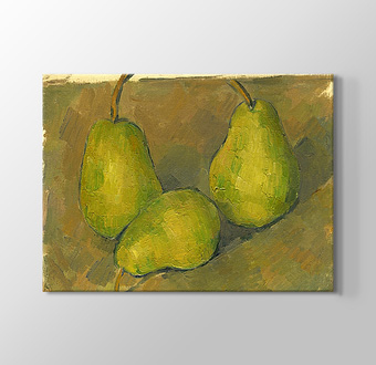 Three Pears - Üç Armut
