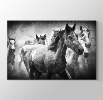 Siyah Beyaz Koşan Atlar