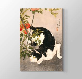 Black Cat and Tomato Plant Kanvas Tablosu