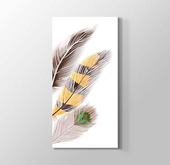 Tavus Kuşu Tüyü ve Renkli Desenler
