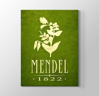 Gregor Mendel - Genetik Biliminin Temelleri Kanvas Tablosu