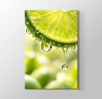 Yeşil Misket Limonunda Ferahlatıcı Su Damlaları