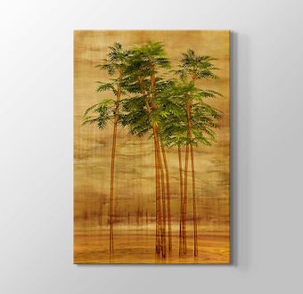 Uzun Bambular - Retro Tarzı