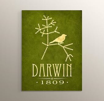 Charles Darwin - Evrim Bilimi Mdf Tablosu