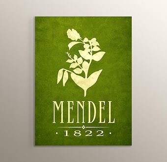 Gregor Mendel - Genetik Biliminin Temelleri Mdf Tablosu