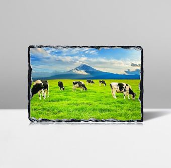 Fiji Dağı'na Karşı Otlanan İnekler Taş Tablosu