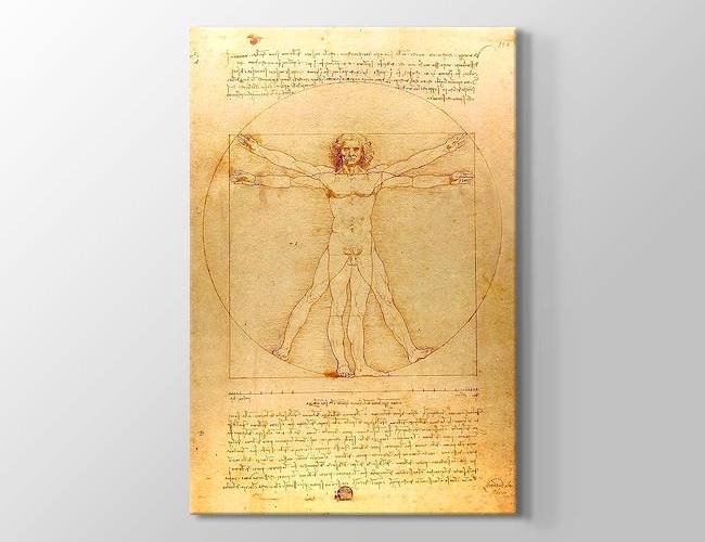 The Vitruvian Man 1498 - Vitruvius Adamı Leonardo da Vinci Kanvas tablosu