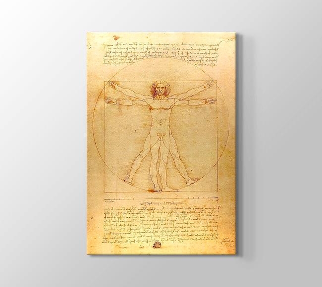  Leonardo da Vinci The Vitruvian Man 1498 - Vitruvius Adamı