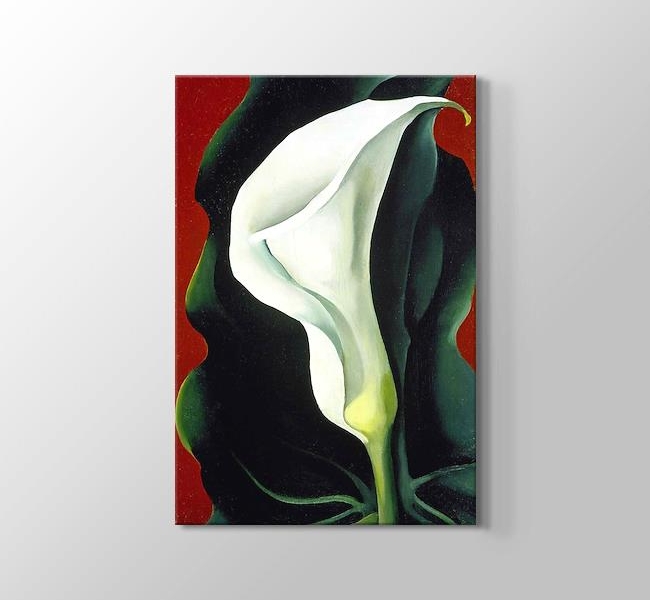  Georgia O'Keeffe Single Lily with Red 1928