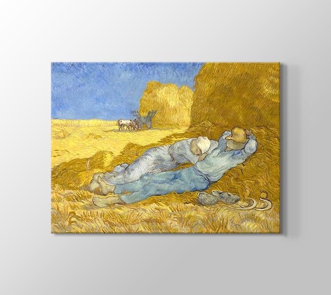  Vincent van Gogh La Siesta