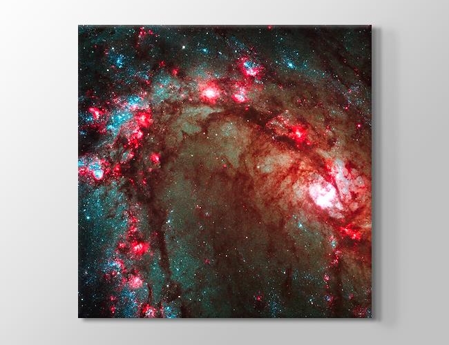 Spiral Galaxy M83 Kanvas tablosu