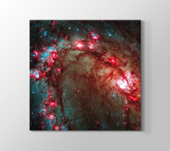  Spiral Galaxy M83