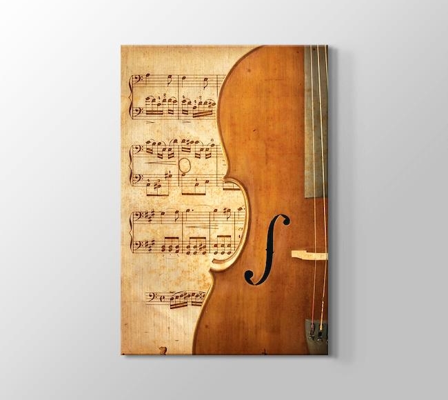  Violin