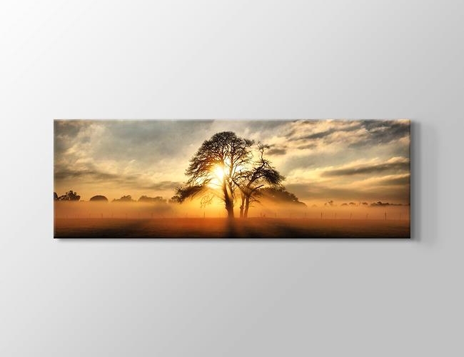 Gün Işığı Ağacı Kanvas tablosu