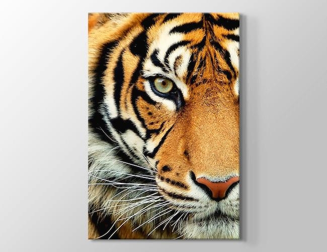 Bengal Tiger Kanvas tablosu