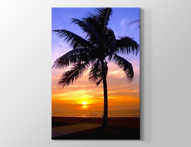 Sunset Palm Kanvas tablosu