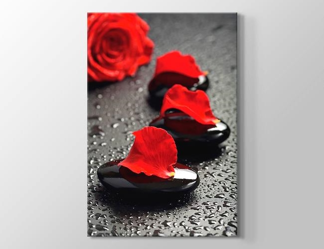 Black Pebbles and Red Rose Kanvas tablosu