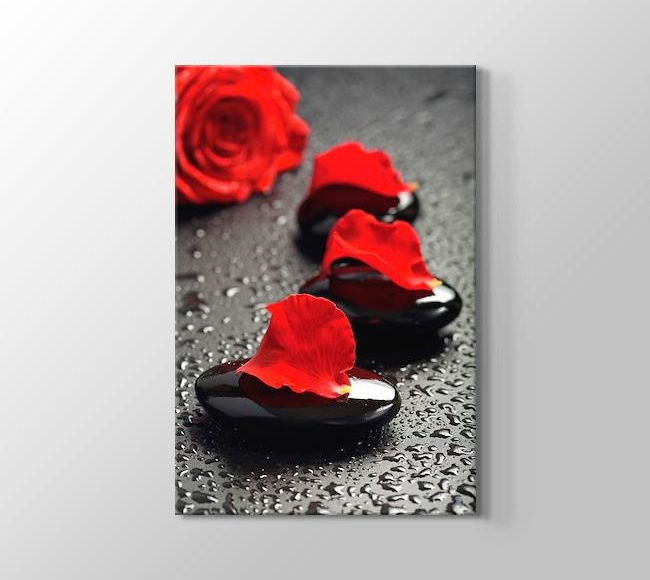  Black Pebbles and Red Rose