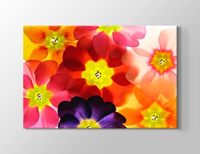 Emma - Renkli Çiçek Saydamları Kanvas tablosu