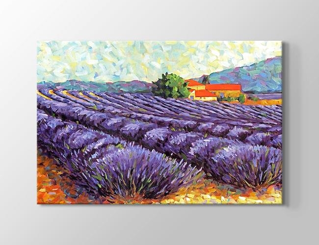 Lavender Fields Kanvas tablosu