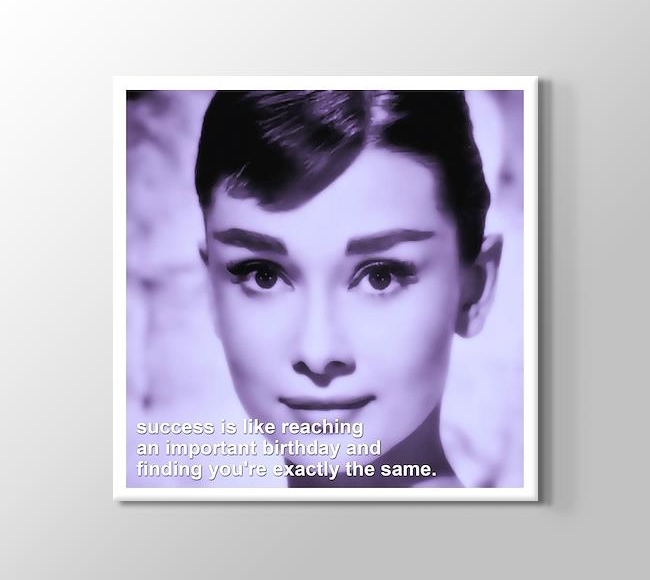  Audrey Hepburn - Success