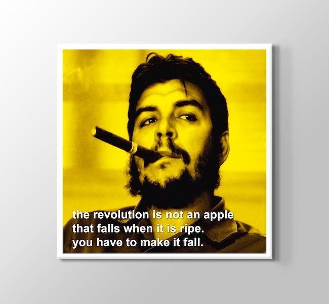  Che Guevara - Revolution