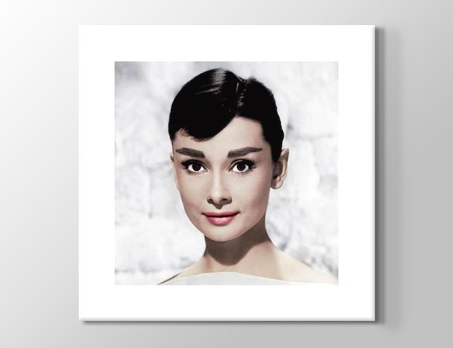 Audrey Hepburn VI Kanvas tablosu