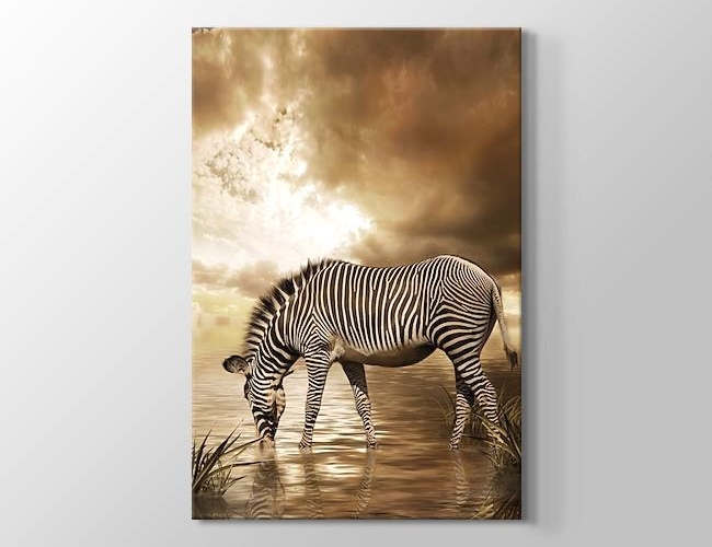 Zebra Kanvas tablosu