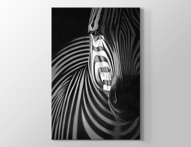 Zebra Siyah Beyaz Kanvas tablosu
