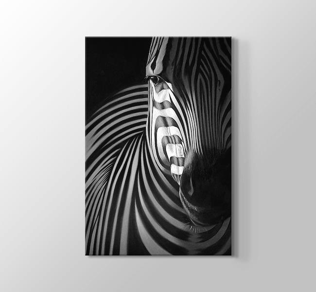 Zebra Siyah Beyaz