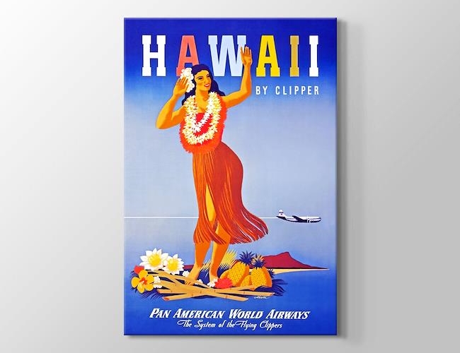  Hawaii Vintage Posteri