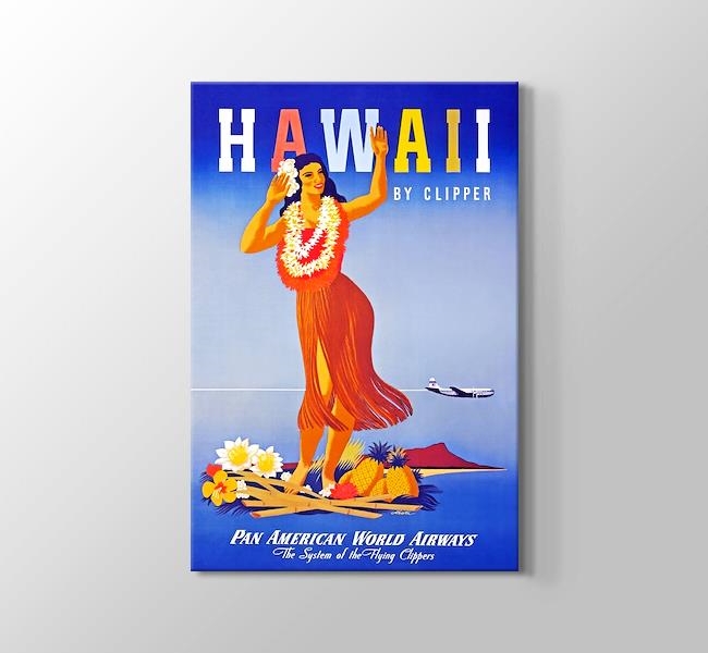  Hawaii Vintage Posteri