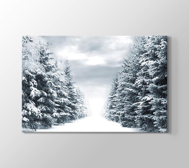  Snowy Road Between Trees